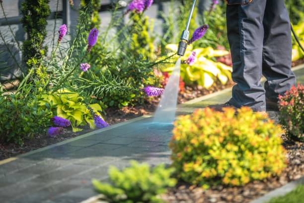 Best Gutter Cleaning and Brightening in Columbia, MO