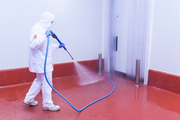 Best Residential Pressure Washing in Columbia, MO